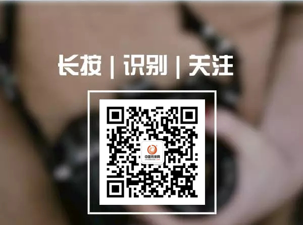 1508476736227939.jpg 2222222.webp.jpg