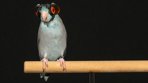 1481253946228584.jpg 27a10bef52b94c78a27049439577ca63.jpg