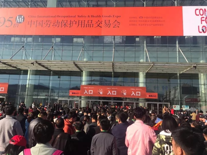 1508997868420850.jpg 1.webp.jpg