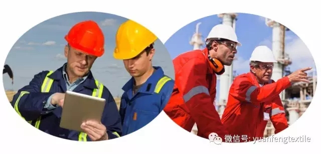 1495413884105272.jpg 640.webp (1).jpg