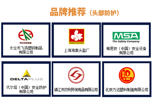 1520389872921095.jpg 头部防护.jpg