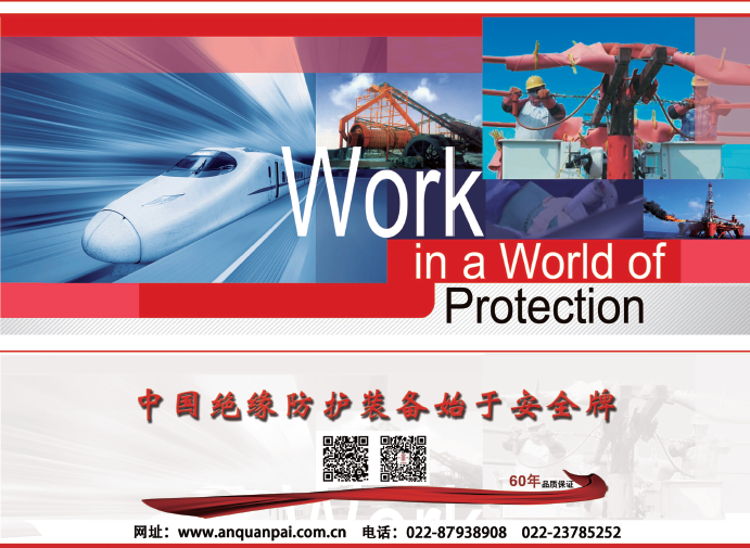 1551838174100160.png 双安科技.png