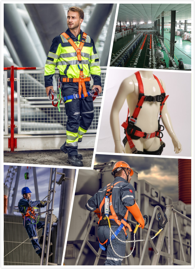 1522024306740189.jpg 1.jpg