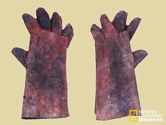 1482377357159992.jpg 5.jpg