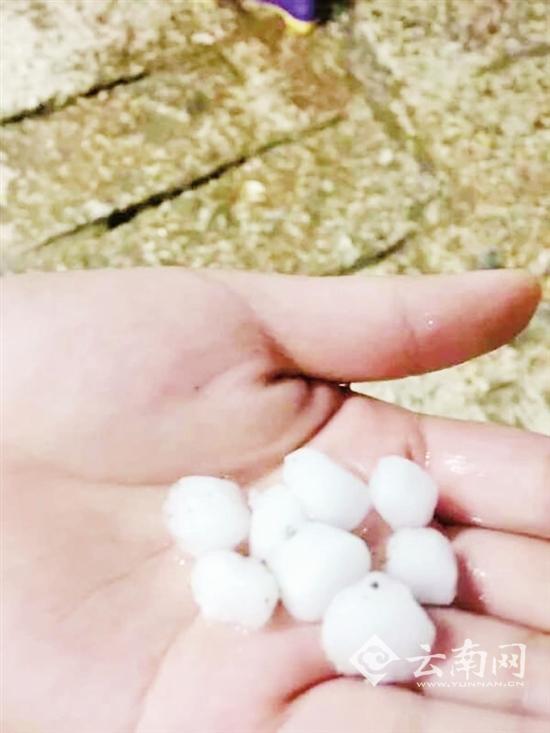 1494380893621766.jpg a82c36c2ea248c97c3948591dca8520a.jpg