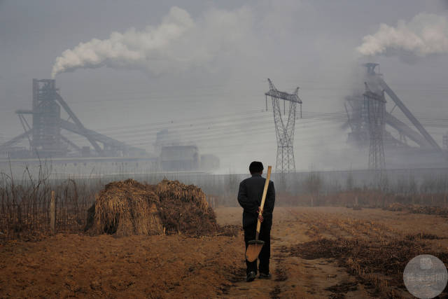 1482111453127455.jpg 4.jpg