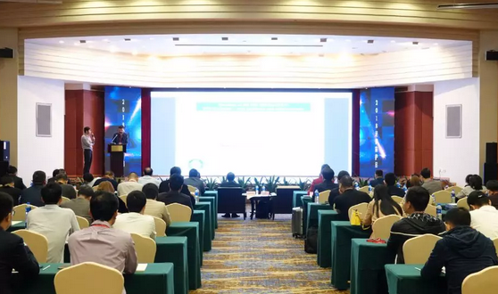 1544749339337283.png 1.png