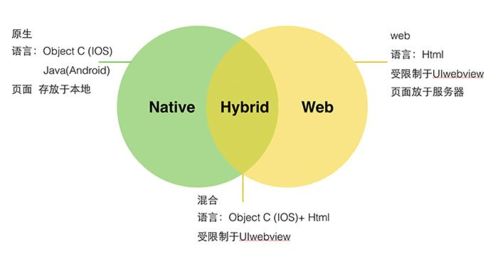 怎么制作app软件 企业如何选择app开发模式